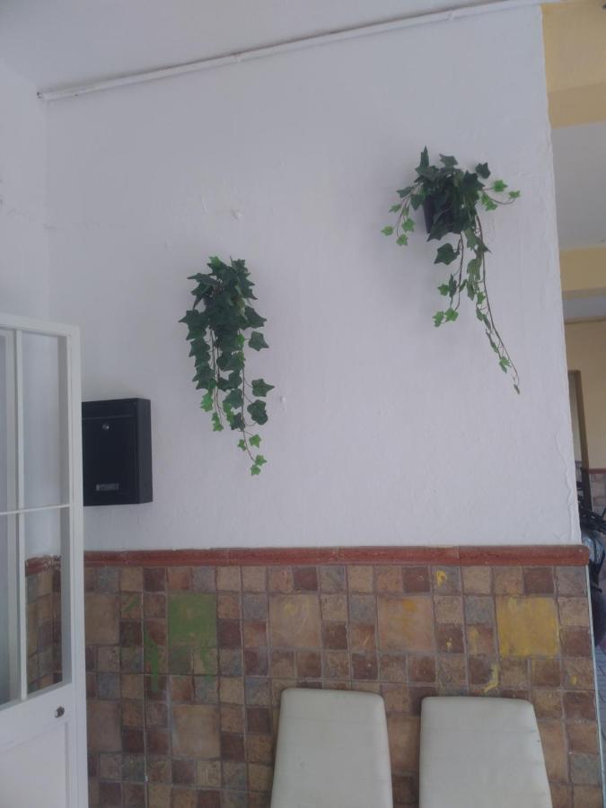 Precioso Apartamento Moderno Cerca Del Carrefour Rosaleda มาลากา ภายนอก รูปภาพ